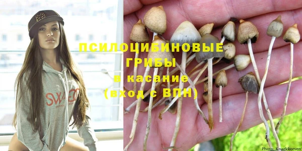 экстази Гусь-Хрустальный