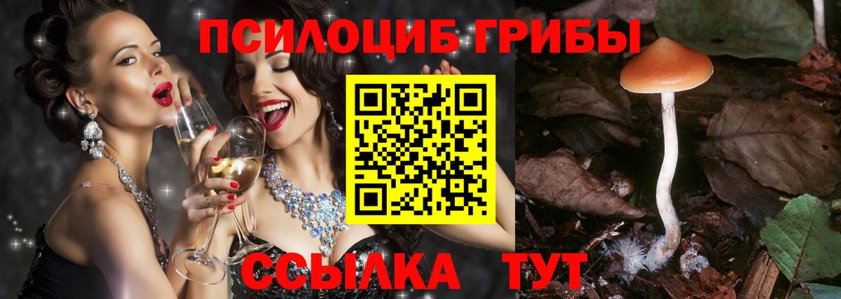 Галлюциногенные грибы мицелий Когалым