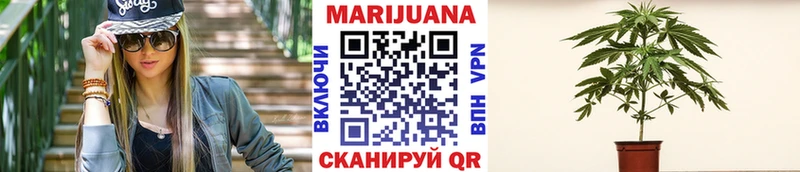 дарнет шоп  Когалым  Шишки марихуана Amnesia 